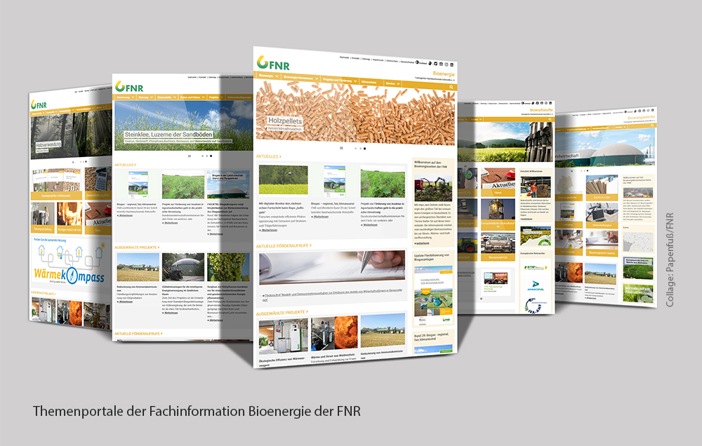 Themenportale Fachinformation Bioenergie FNR